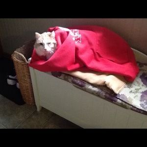 Meet your Posher, Hailey